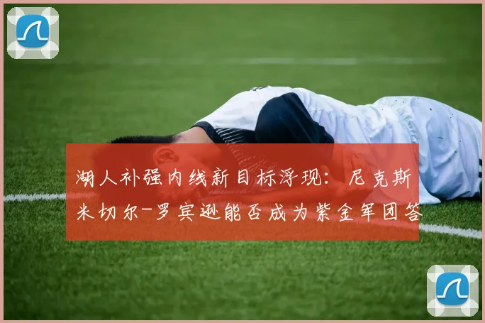 湖人补强内线新目标浮现：尼克斯米切尔-罗宾逊能否成为紫金军团答案？